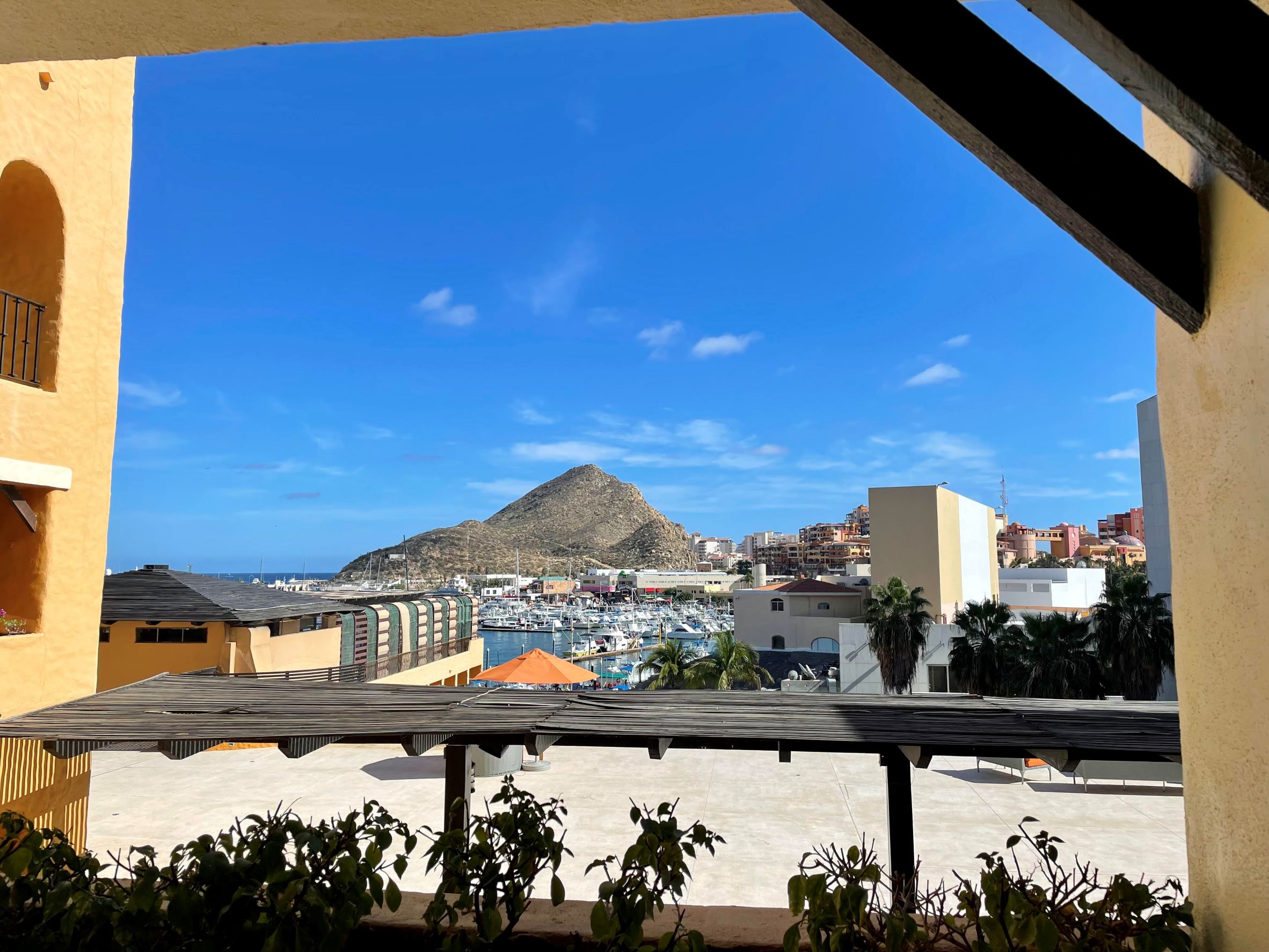 Cabo San Lucas Marina viewed from a balcony